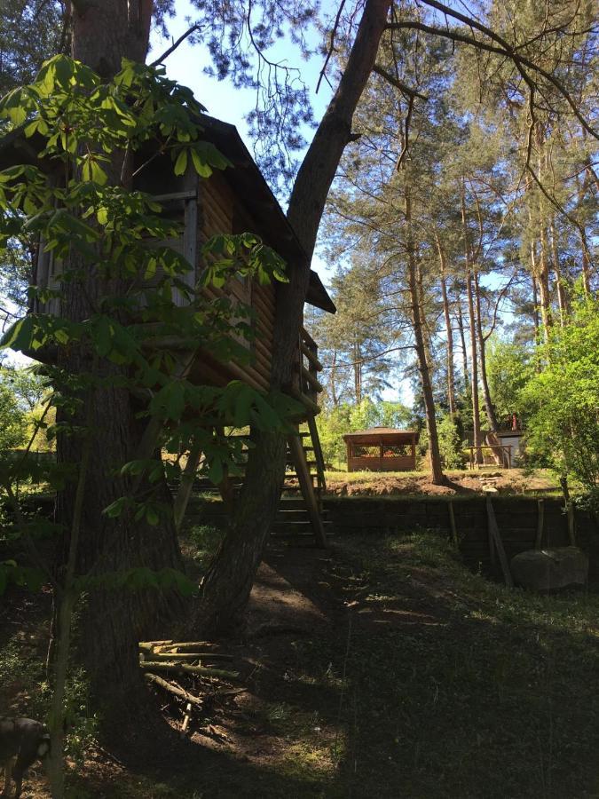 Domek Z Bali Tryszczyn Nad Brda Ngoại thất bức ảnh
